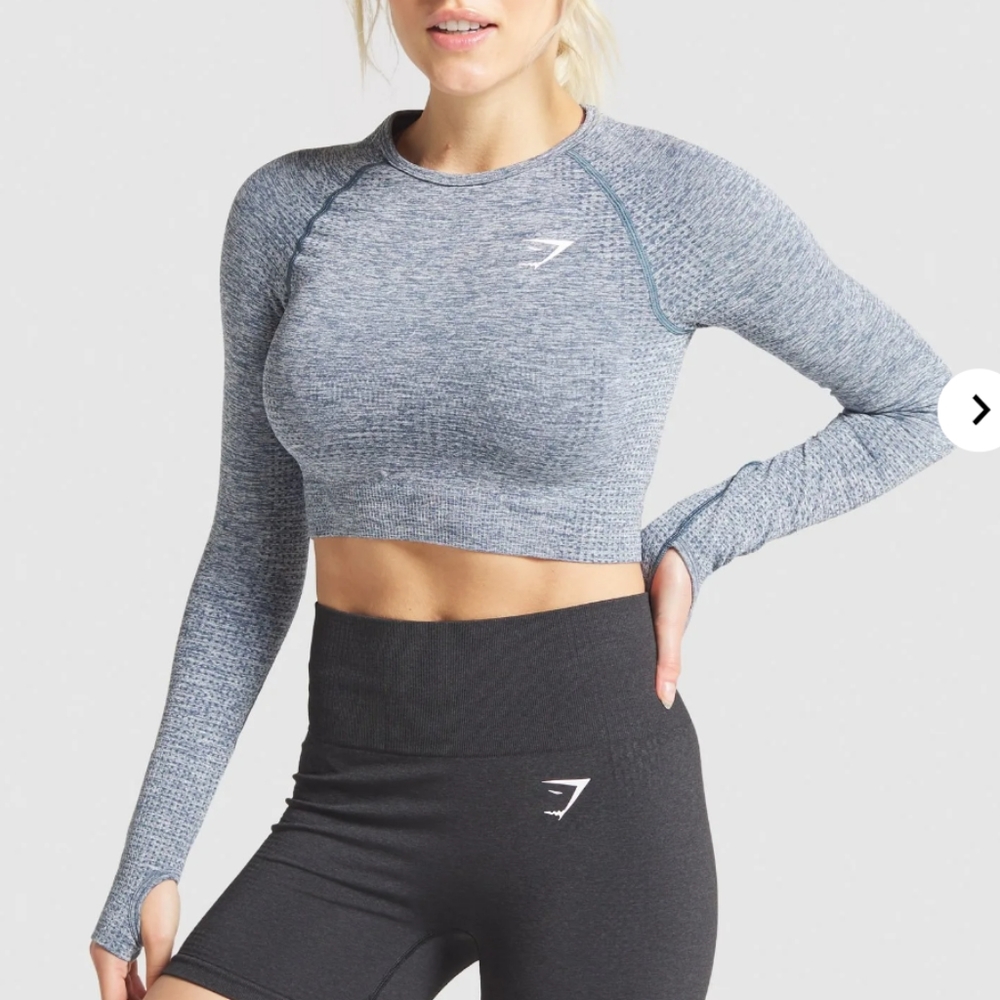 Gymshark Gray Vital Seamless Long Sleeve Crop Top